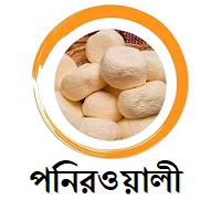 পনিরওয়ালী